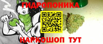 ПСИЛОЦИБИНОВЫЕ ГРИБЫ Бердск