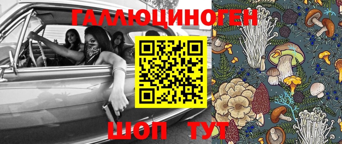 Псилоцибиновые грибы мицелий Благодарный